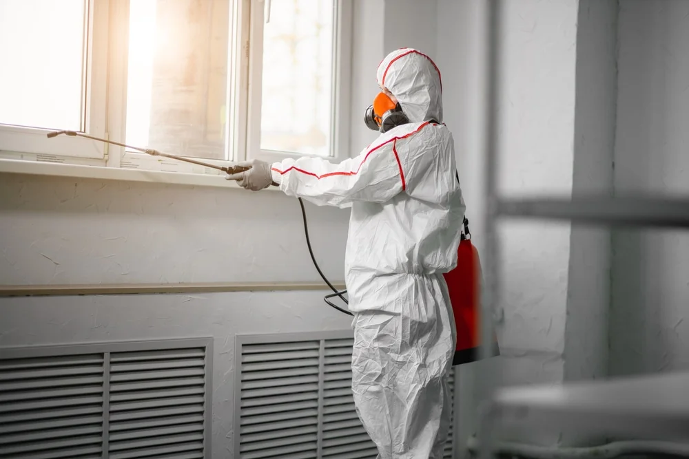 Professional mold remediation services in Carlisle, IN